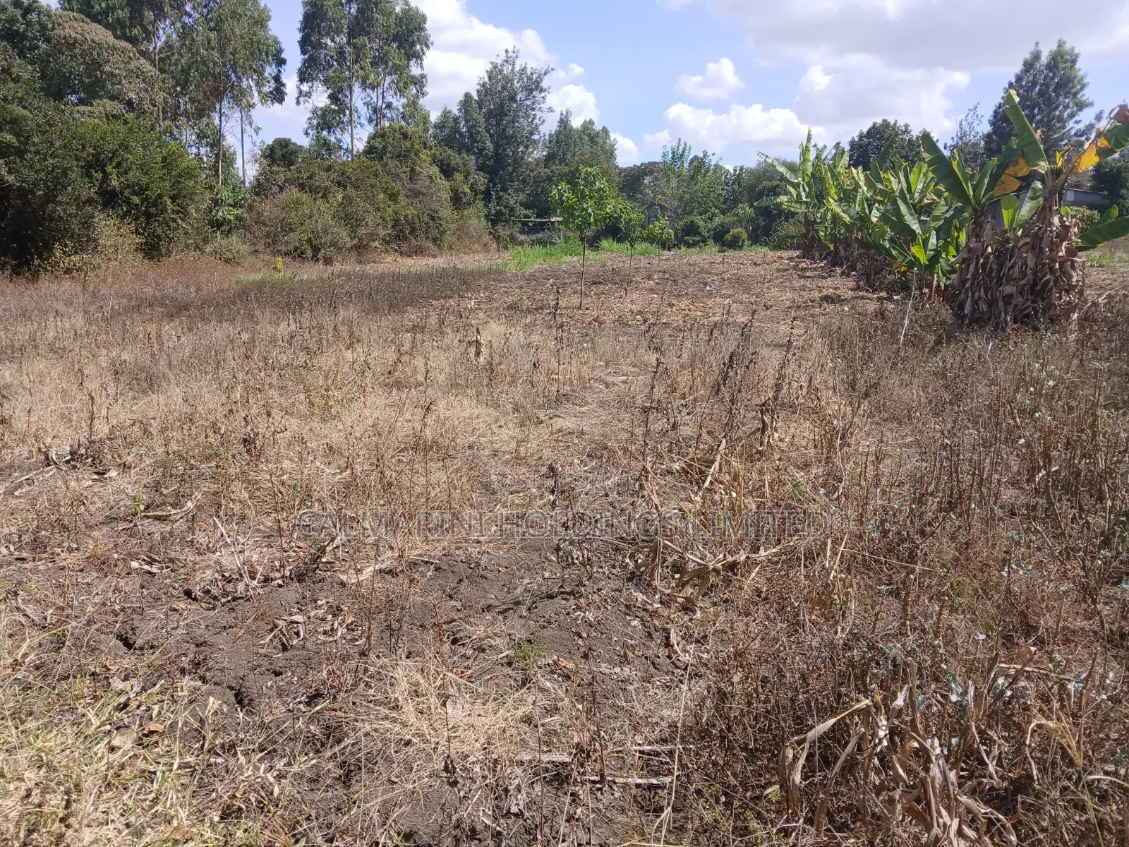 Prime Quarter Acre Plot in Olkeri, Ngong Near Oloolua Forest in Olkeri