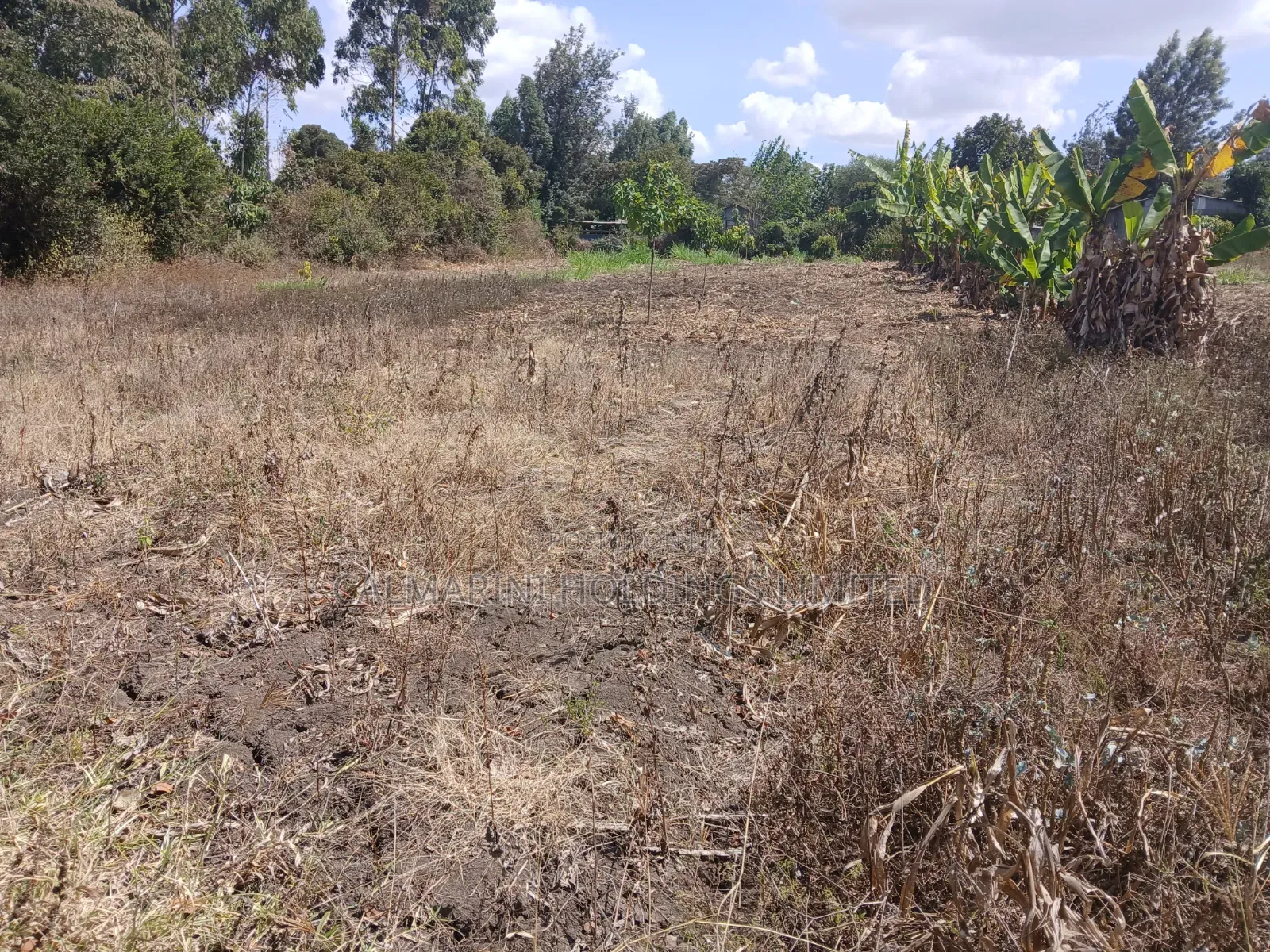 Prime Quarter Acre Plot in Olkeri, Ngong Near Oloolua Forest in Olkeri