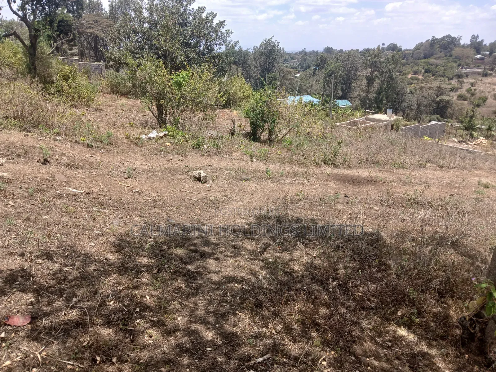 Distress! 100 by 100 Plot on Quick Sale in Olkeri, Ngong Near Tarmac in Olkeri