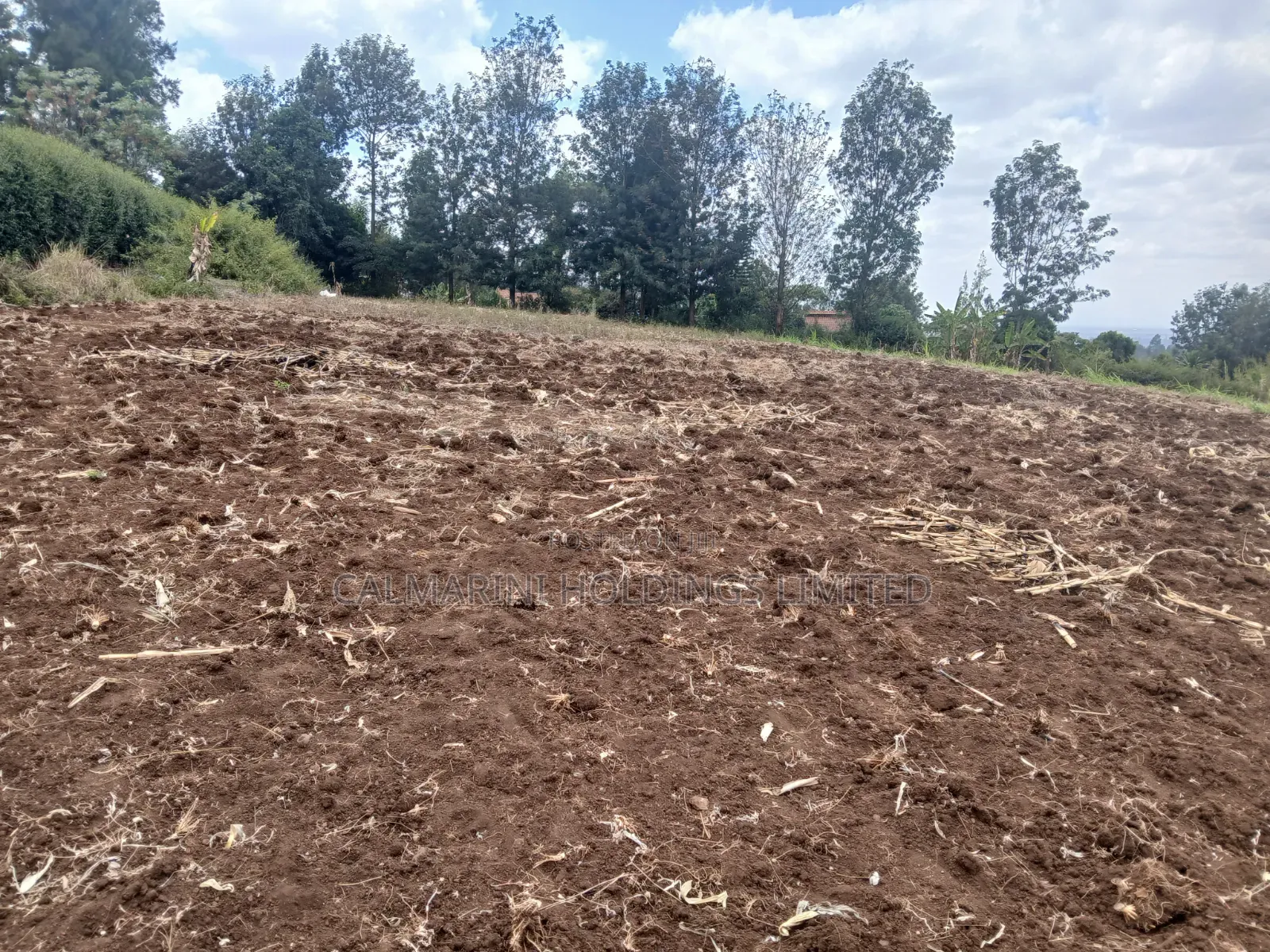 Prime Redsoil 100 by 100 Plot in Olkeri With Great View of Ngong Hills in Olkeri