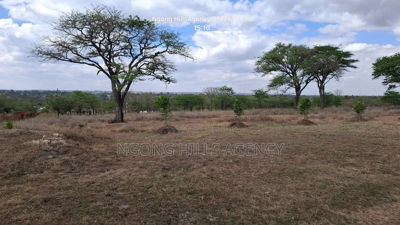 Prime 3-Acre Land for Sale in Rimpa (Off Rimpa Road) in Rimpa