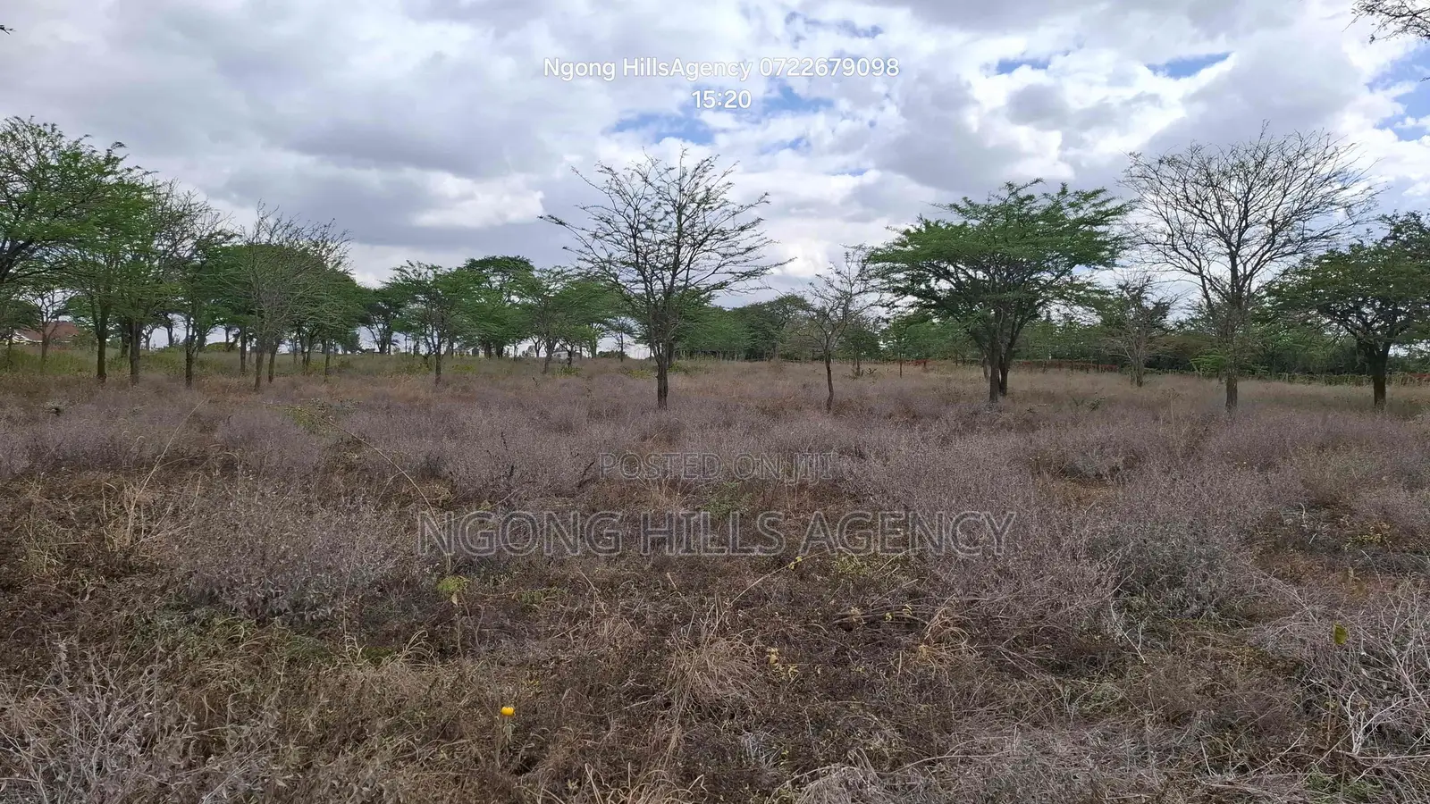 Prime 3-Acre Land for Sale in Rimpa (Off Rimpa Road) in Rimpa