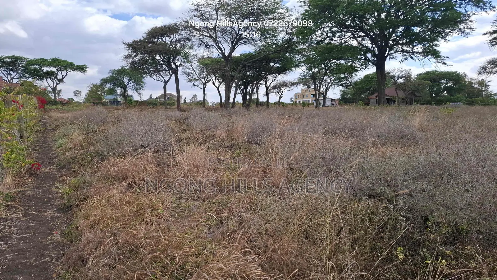 Prime 3-Acre Land for Sale in Rimpa (Off Rimpa Road) in Rimpa