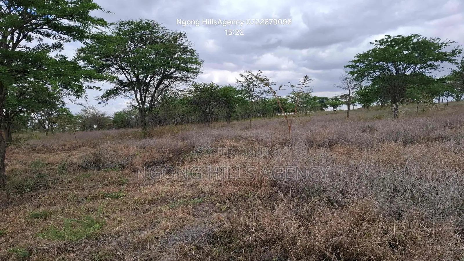 Prime 3-Acre Land for Sale in Rimpa (Off Rimpa Road) in Rimpa