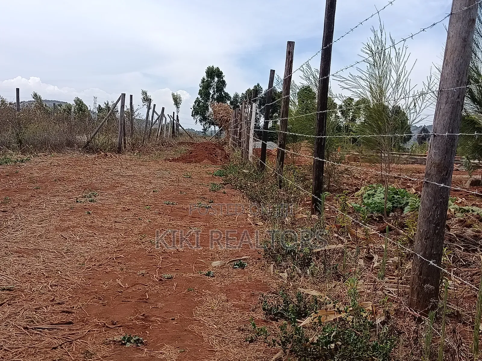 Kikuyu Thigio Prime Plots in Thogoto