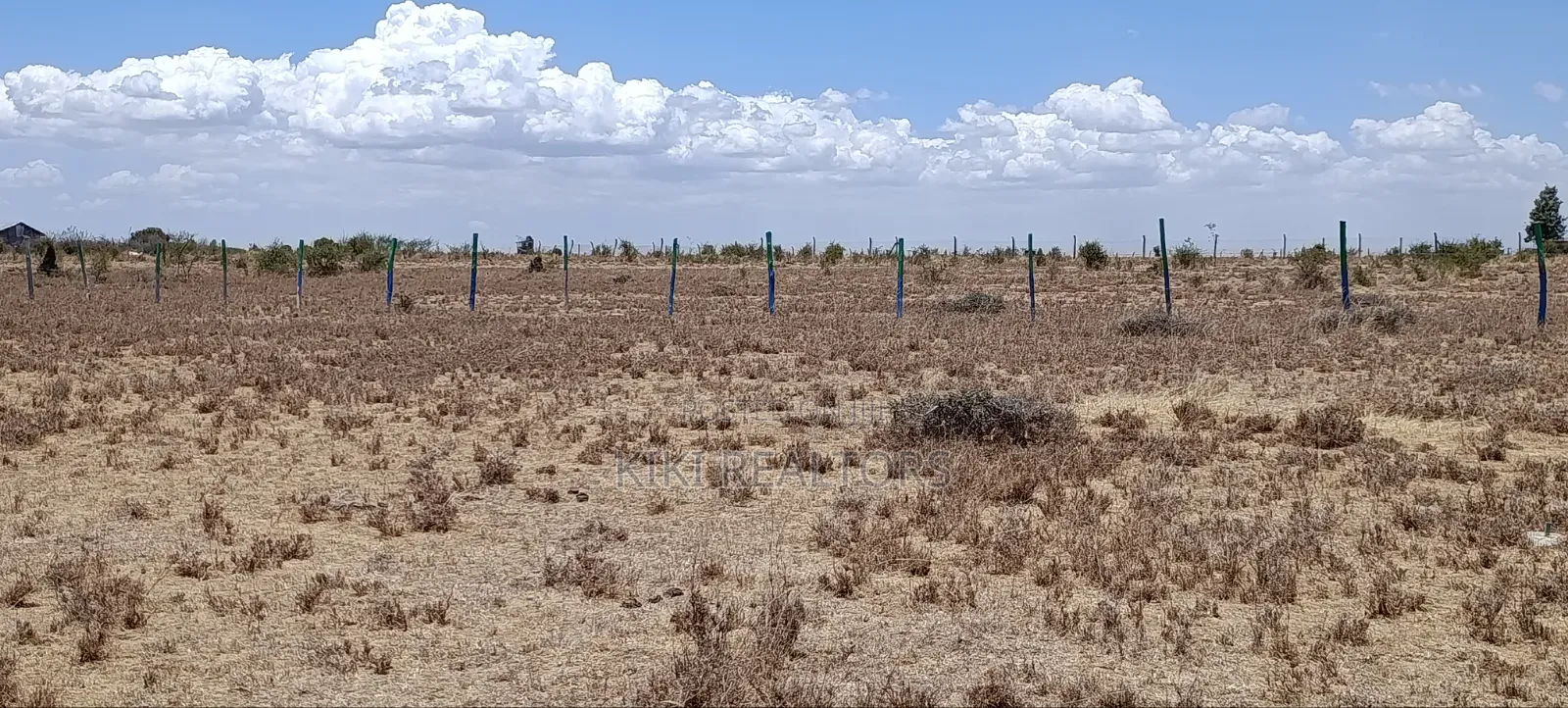 Ruiru Kamakis Mwalimu Farm Prime Plots in Kamakis