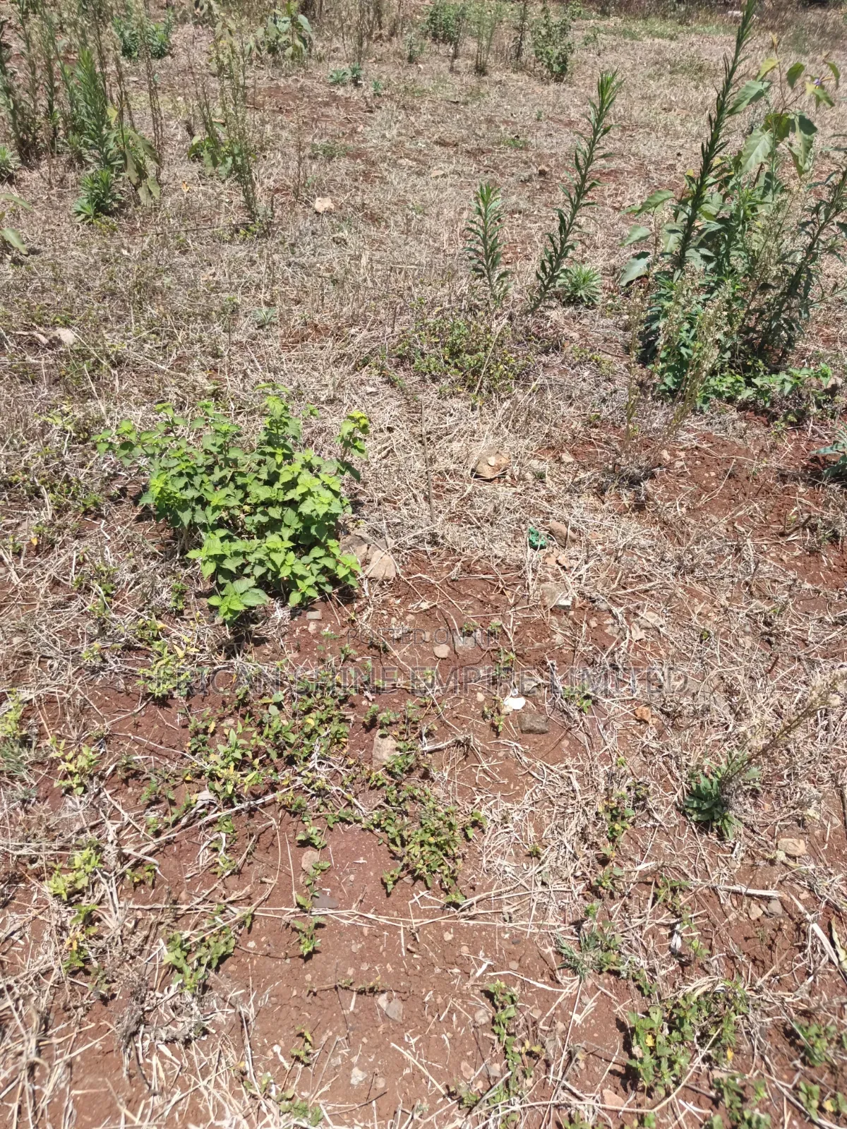 Kiambu Town 1/2 Acre Land for Sale in Kiambu CBD