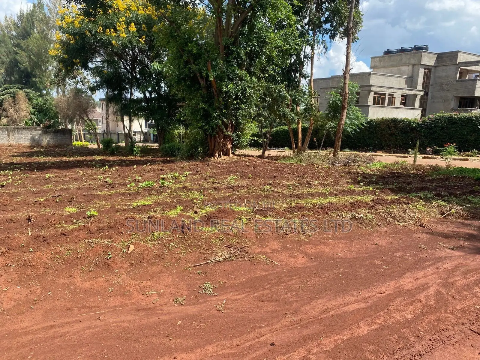 Prime 1/8-Acre Plot for Sale – Kamiti Ridge Estate in Gitothua