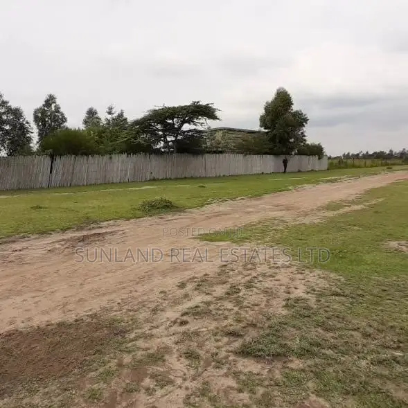 Prime 1/8-Acre Plots for Sale in Ngobit, Laikipia Central in Ngobit