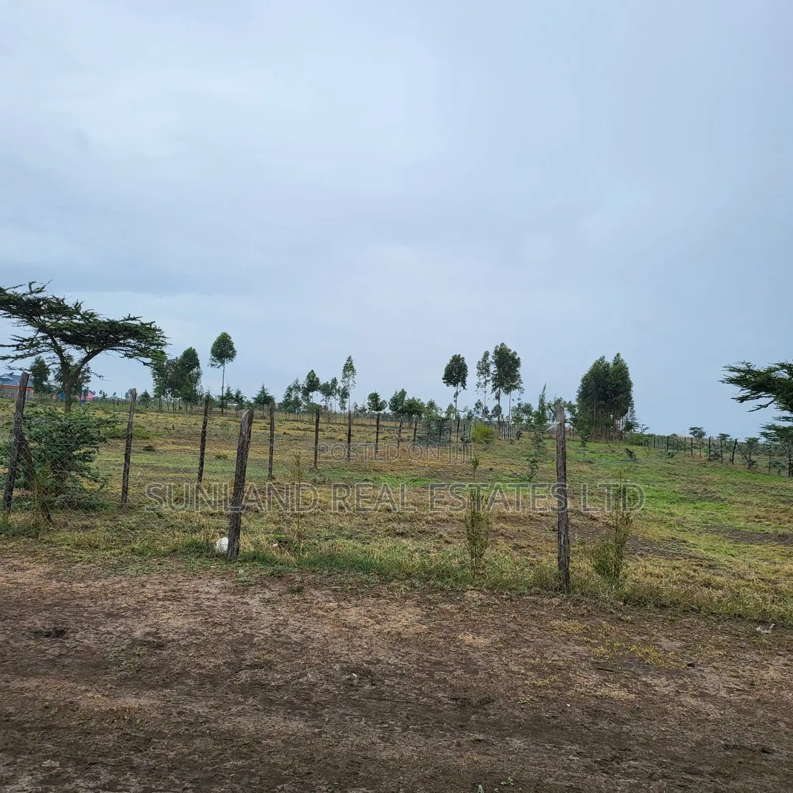 Prime 1/8-Acre Plots for Sale in Ngobit, Laikipia Central in Ngobit