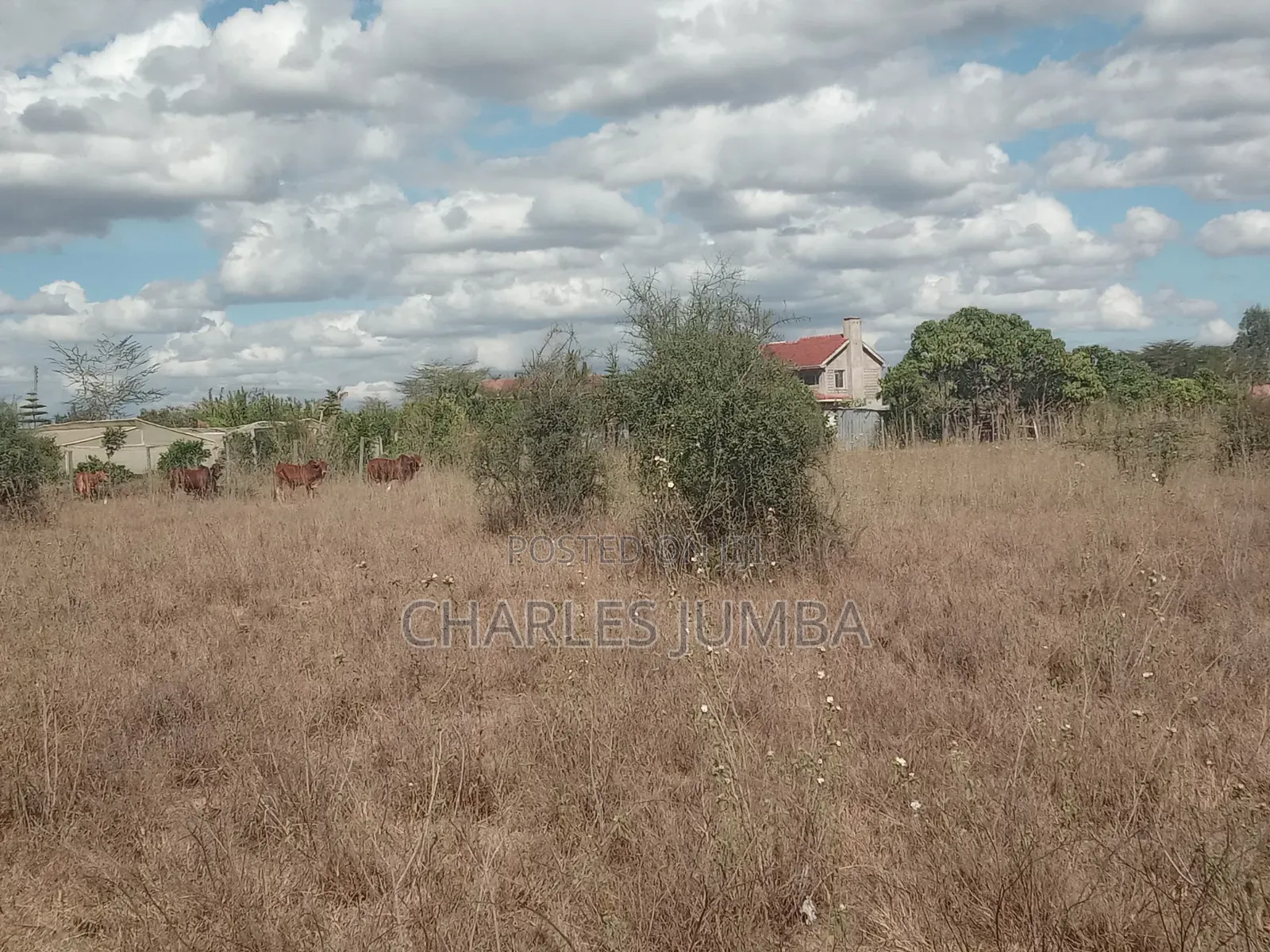 2 Acres at Kisaju 2nd Row in Kitengela