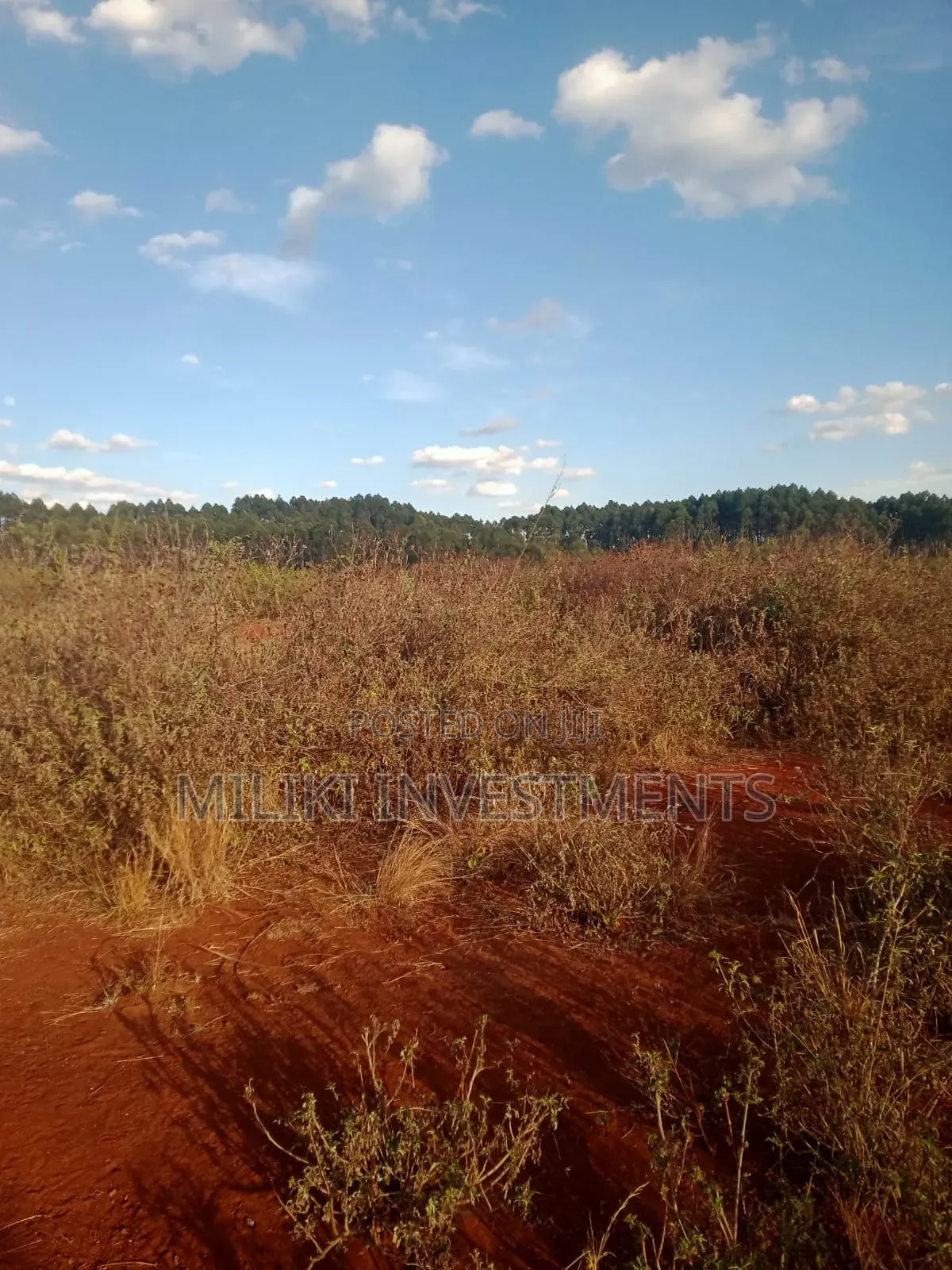 50 Acres on Sale at Makuyu-Murang'A in Makuyu