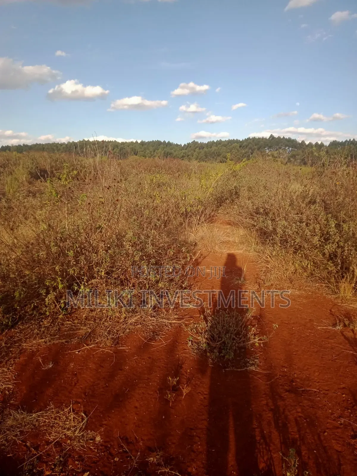 50 Acres on Sale at Makuyu-Murang'A in Makuyu