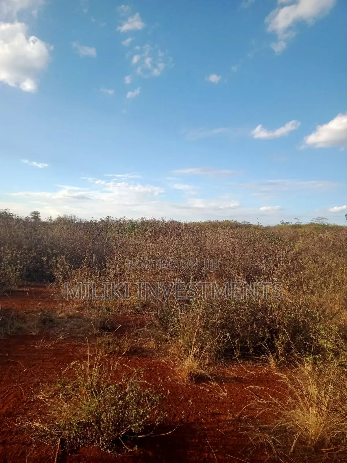 50 Acres on Sale at Makuyu-Murang'A in Makuyu