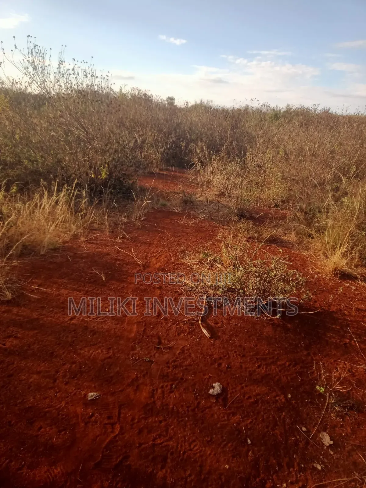 50 Acres on Sale at Makuyu-Murang'A in Makuyu