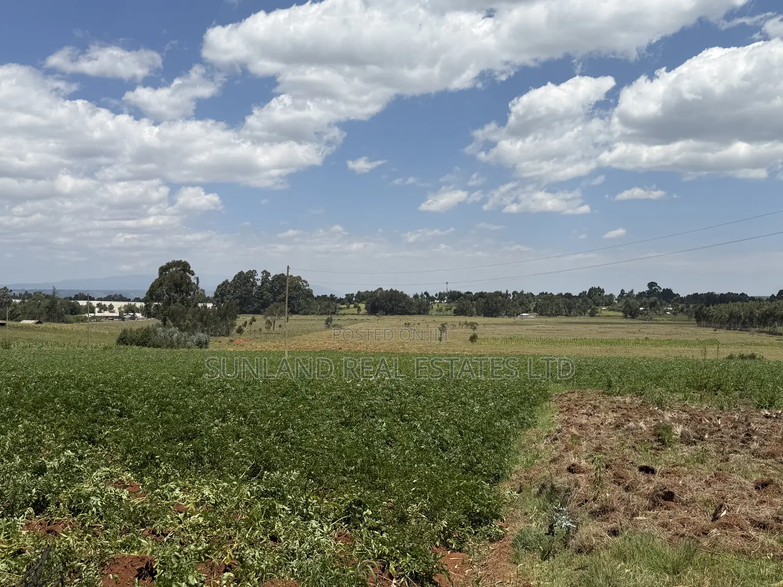Land for Sale in Nyahururu Suera/Gatimu – KSh 3.55M Per Acre in Gatimu