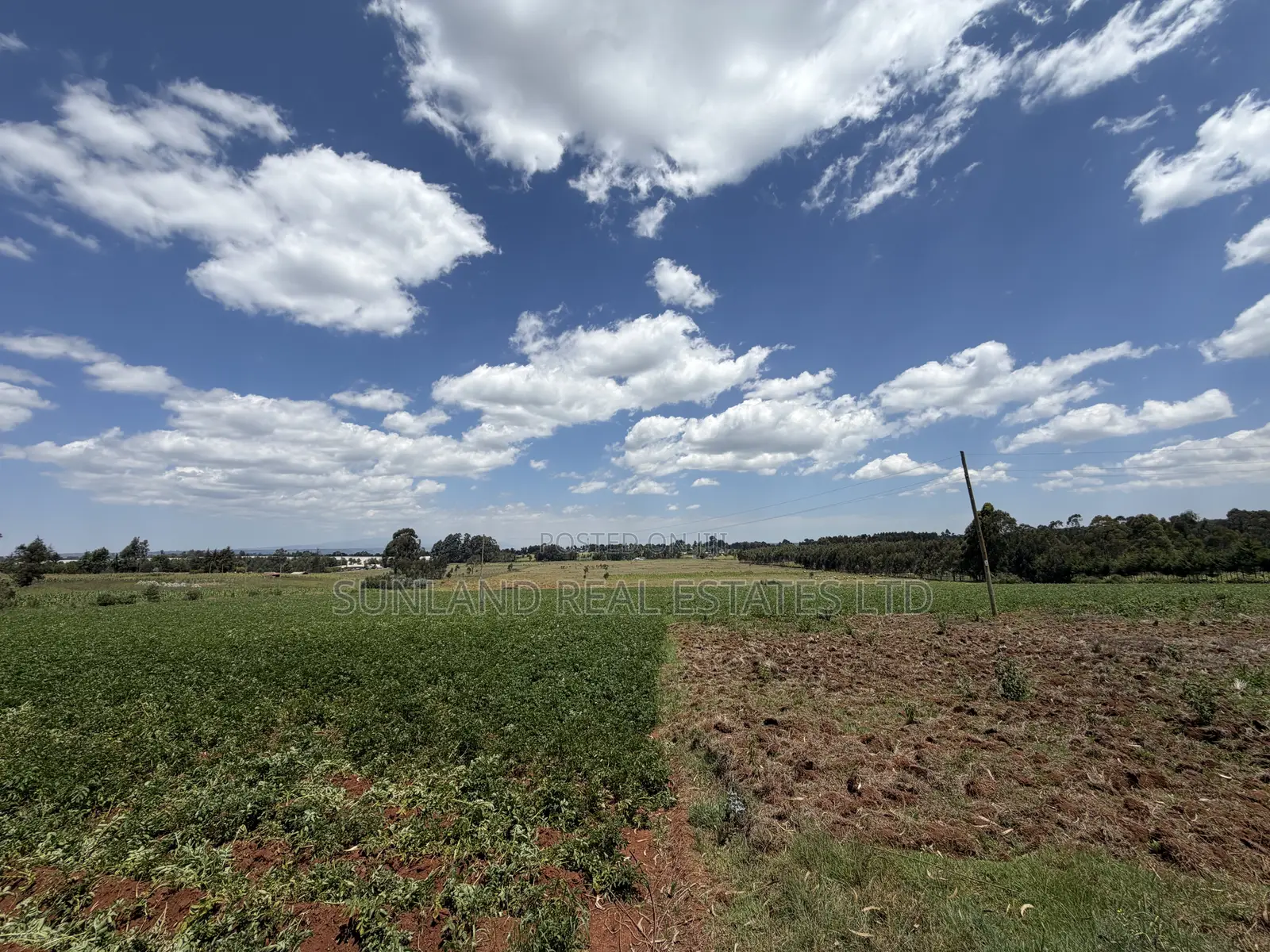 Land for Sale in Nyahururu Suera/Gatimu – KSh 3.55M Per Acre in Gatimu