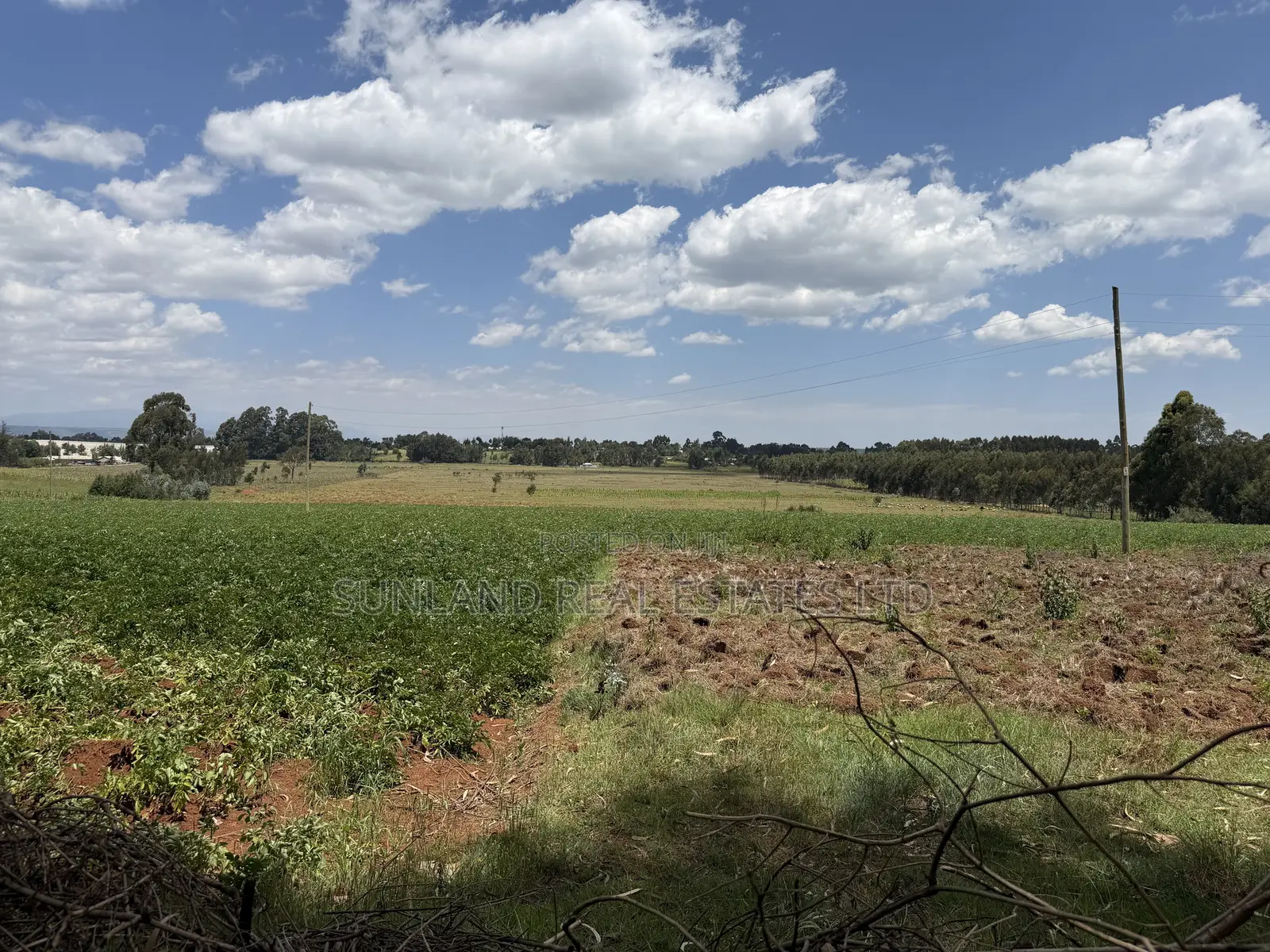 Land for Sale in Nyahururu Suera/Gatimu – KSh 3.55M Per Acre in Gatimu