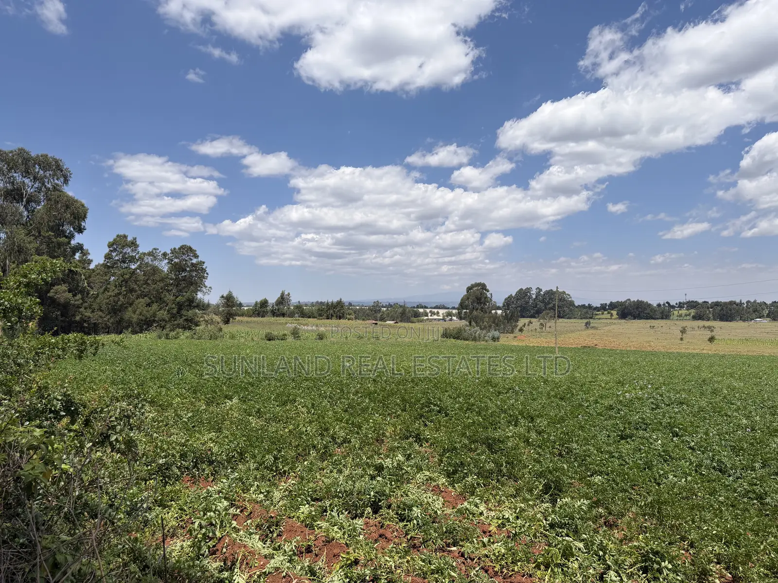 Land for Sale in Nyahururu Suera/Gatimu – KSh 3.55M Per Acre in Gatimu
