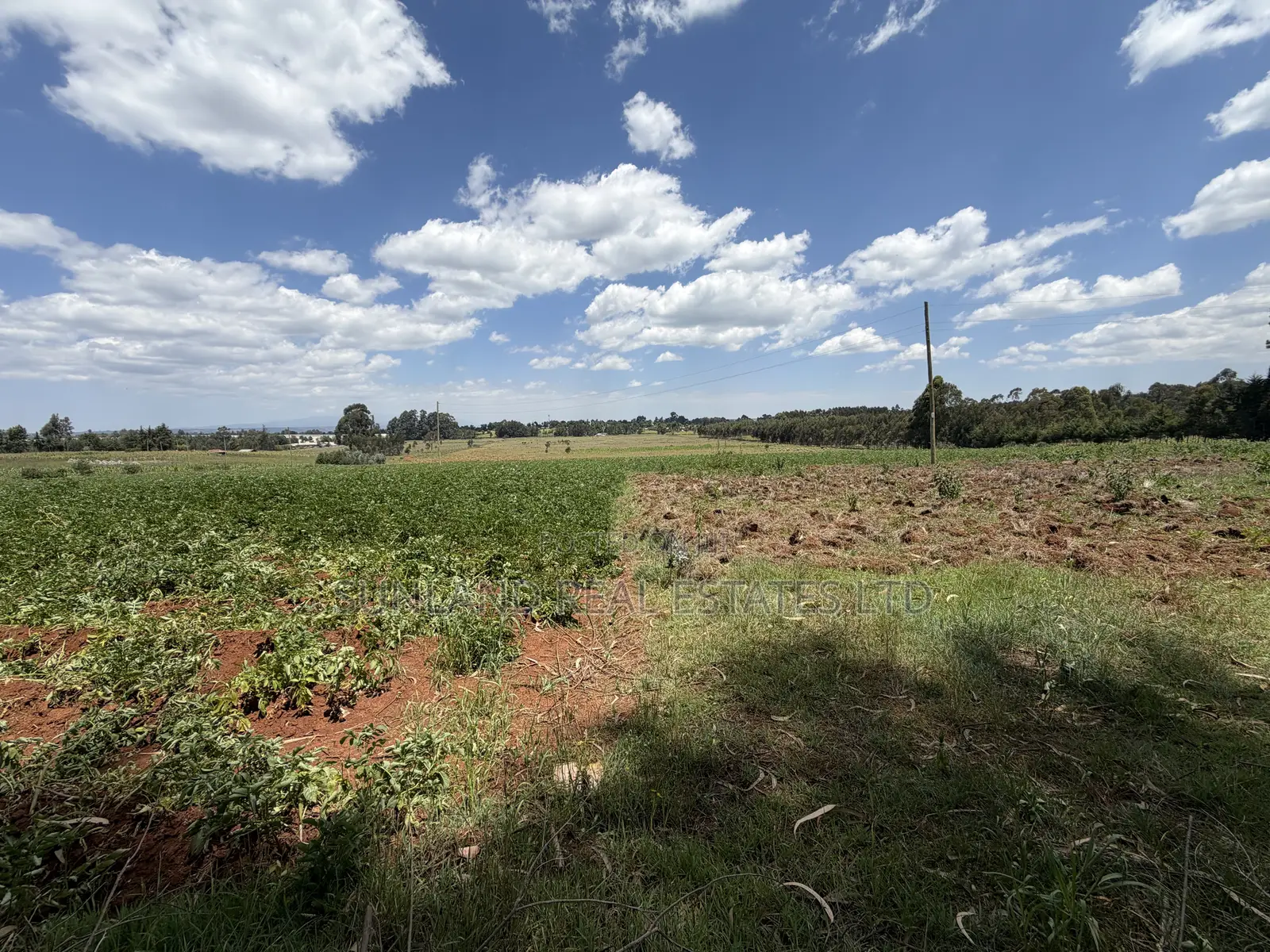 Land for Sale in Nyahururu Suera/Gatimu – KSh 3.55M Per Acre in Gatimu