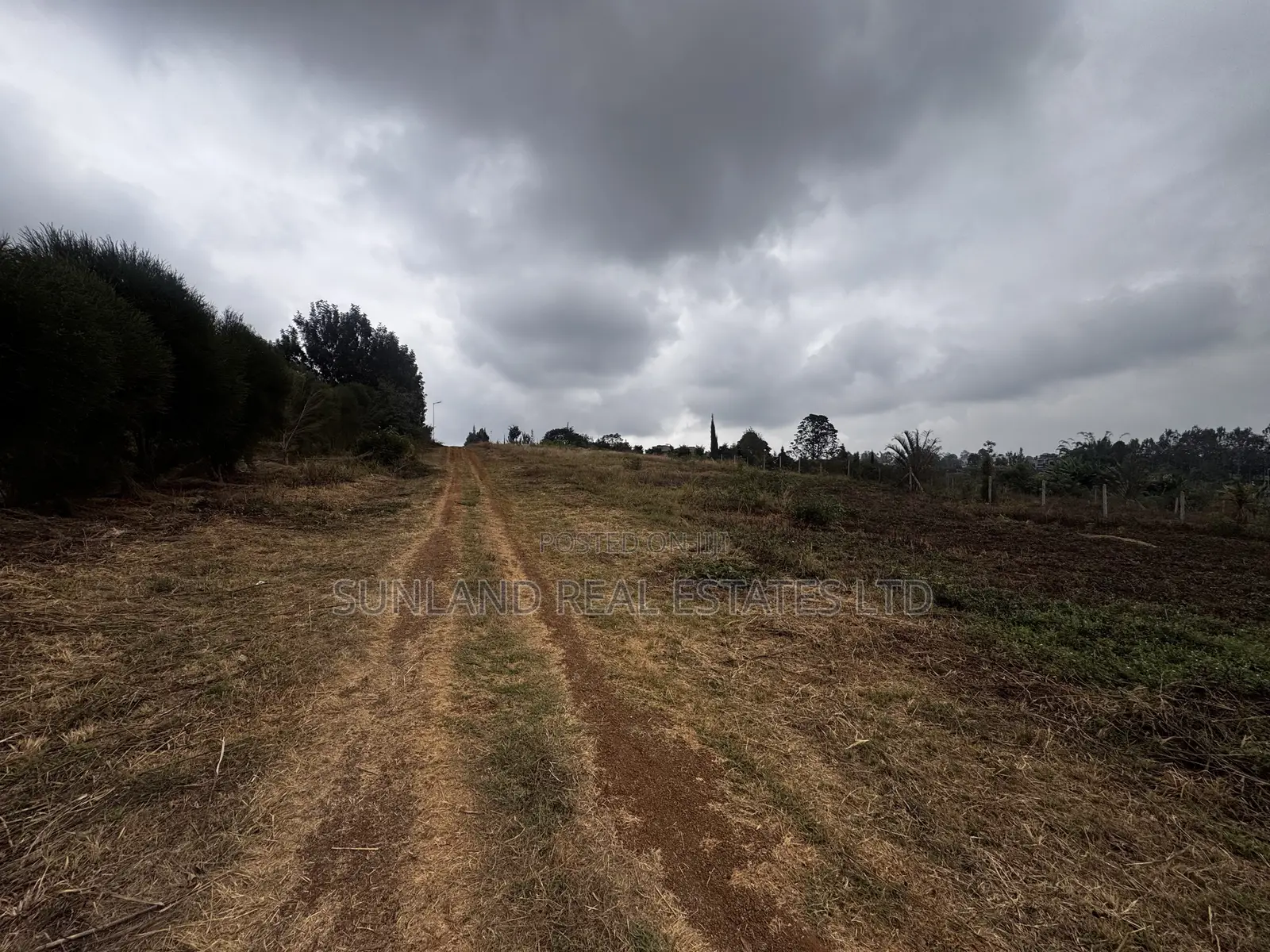 Half-Acre Plot for Sale in Dew Ridge, Tatu City Corridor in Kamakis