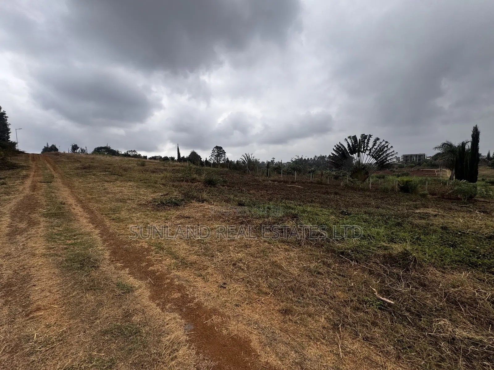 Half-Acre Plot for Sale in Dew Ridge, Tatu City Corridor in Kamakis