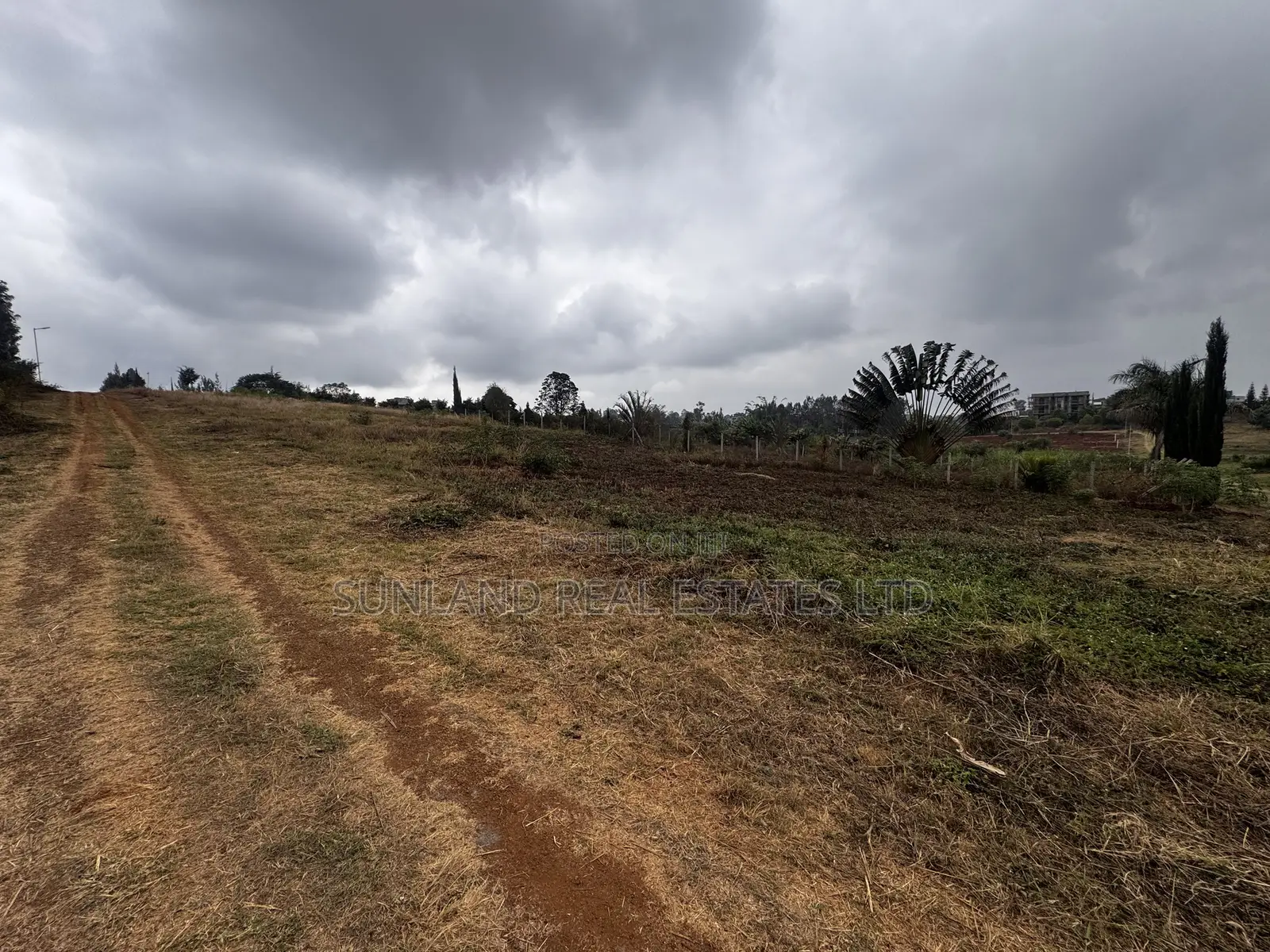 Half-Acre Plot for Sale in Dew Ridge, Tatu City Corridor in Kamakis