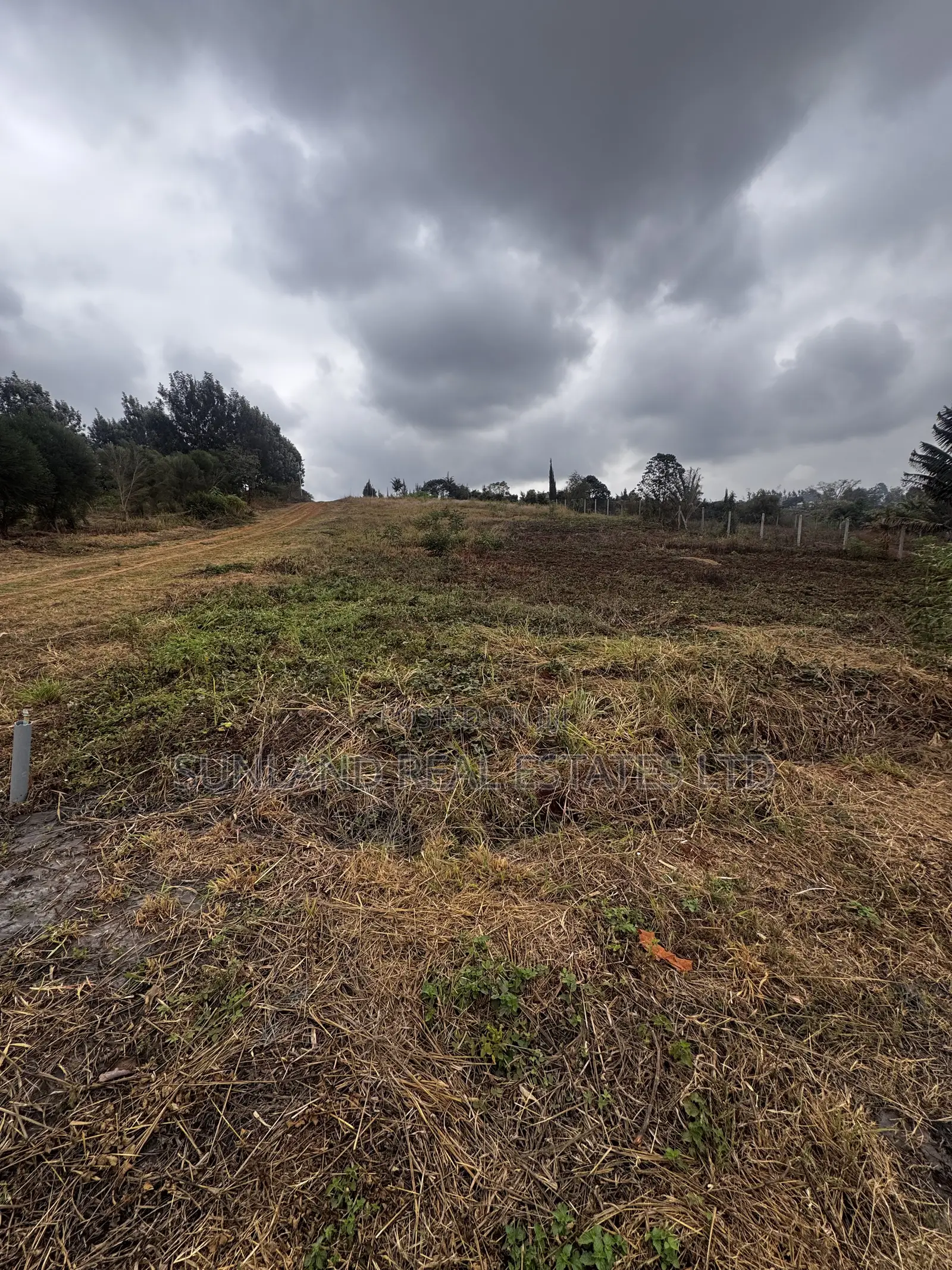 Half-Acre Plot for Sale in Dew Ridge, Tatu City Corridor in Kamakis