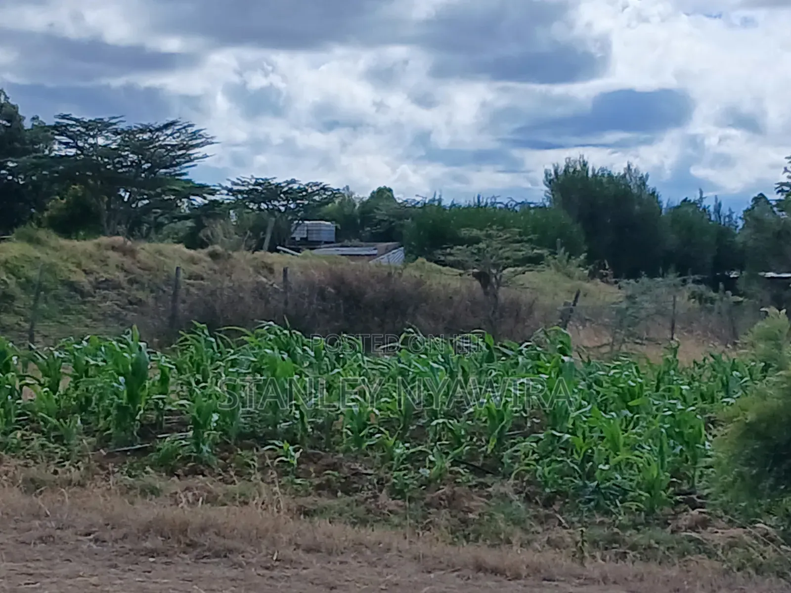 Plots for Sale Nanyuki in Nanyuki