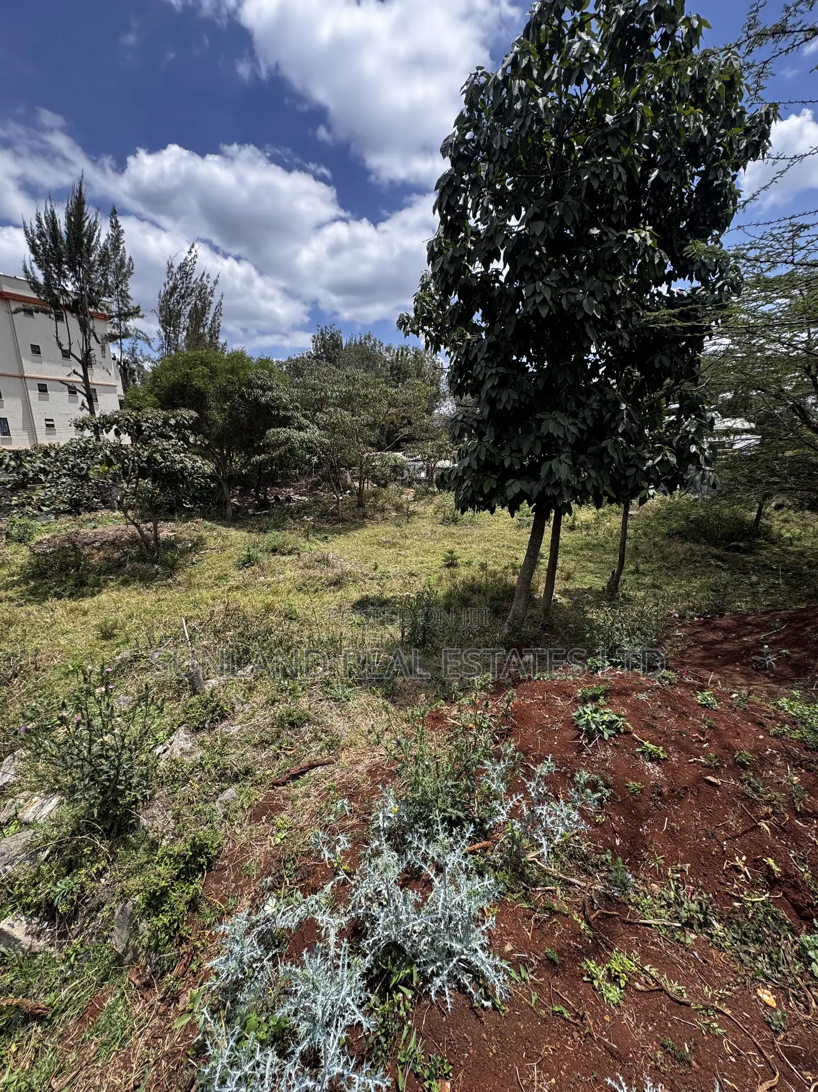 3/8-Acre Plot for Sale in Zambia, Ngong – Tarmac Frontage in Ngong CBD
