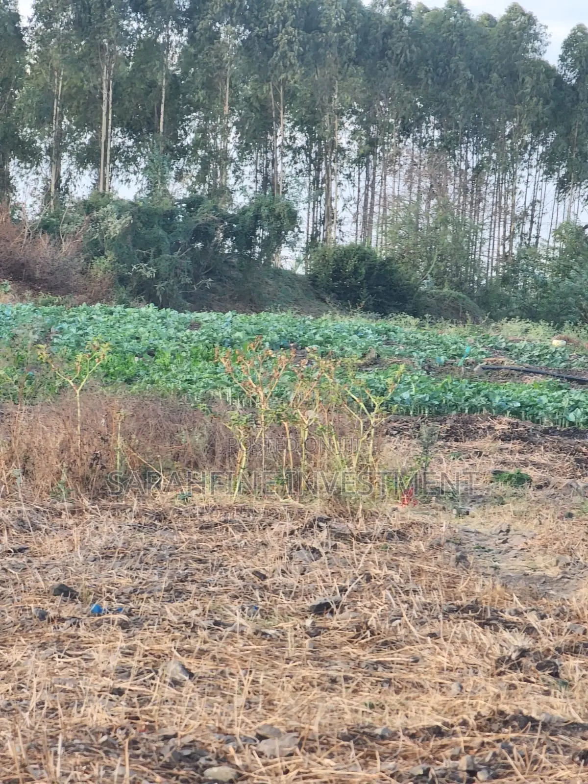 Plot for Sale in Ruai