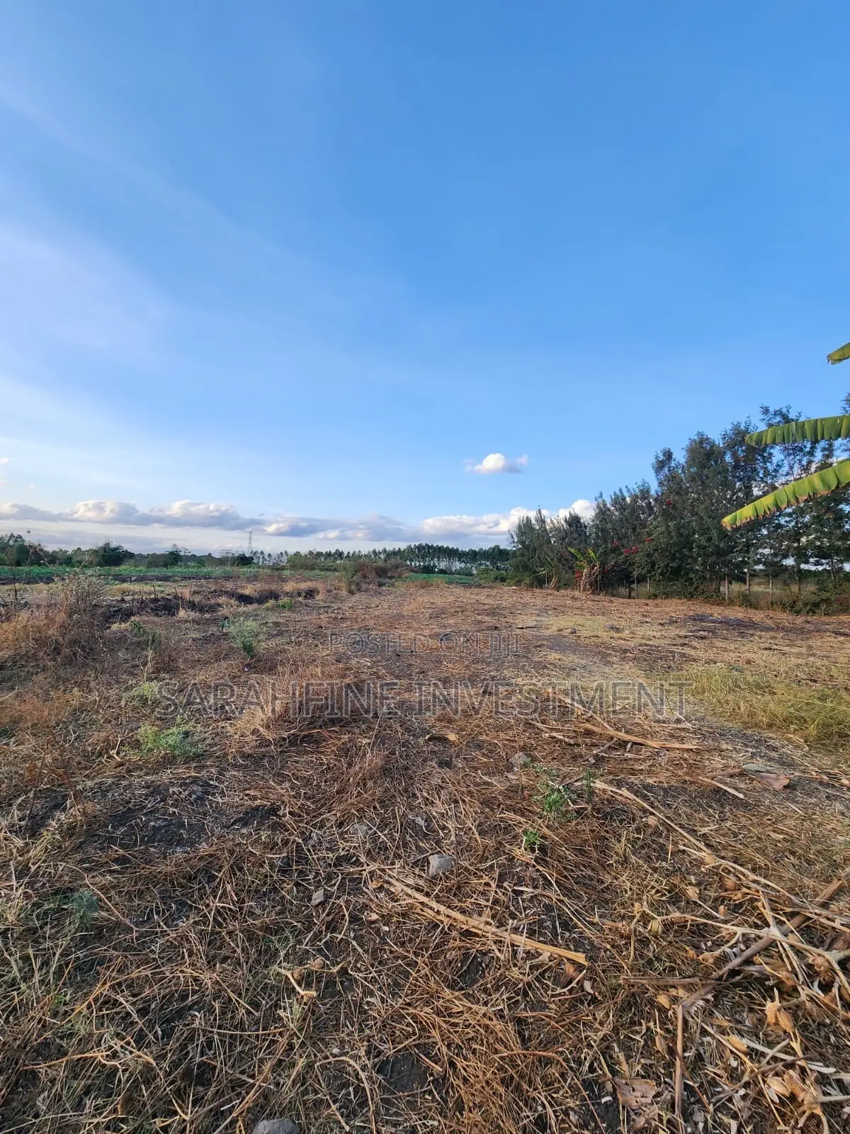 Plot for Sale in Ruai