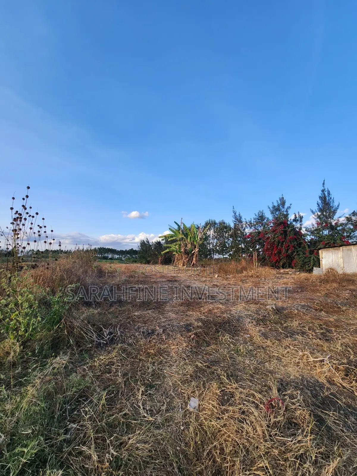 Plot for Sale in Ruai