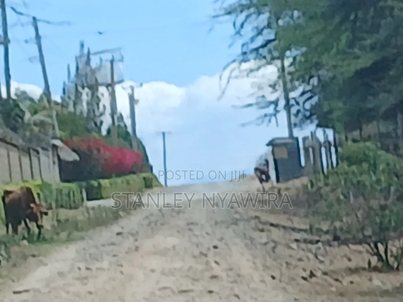 24 Acreas Nanyuki Near Mayan Resort in Nanyuki