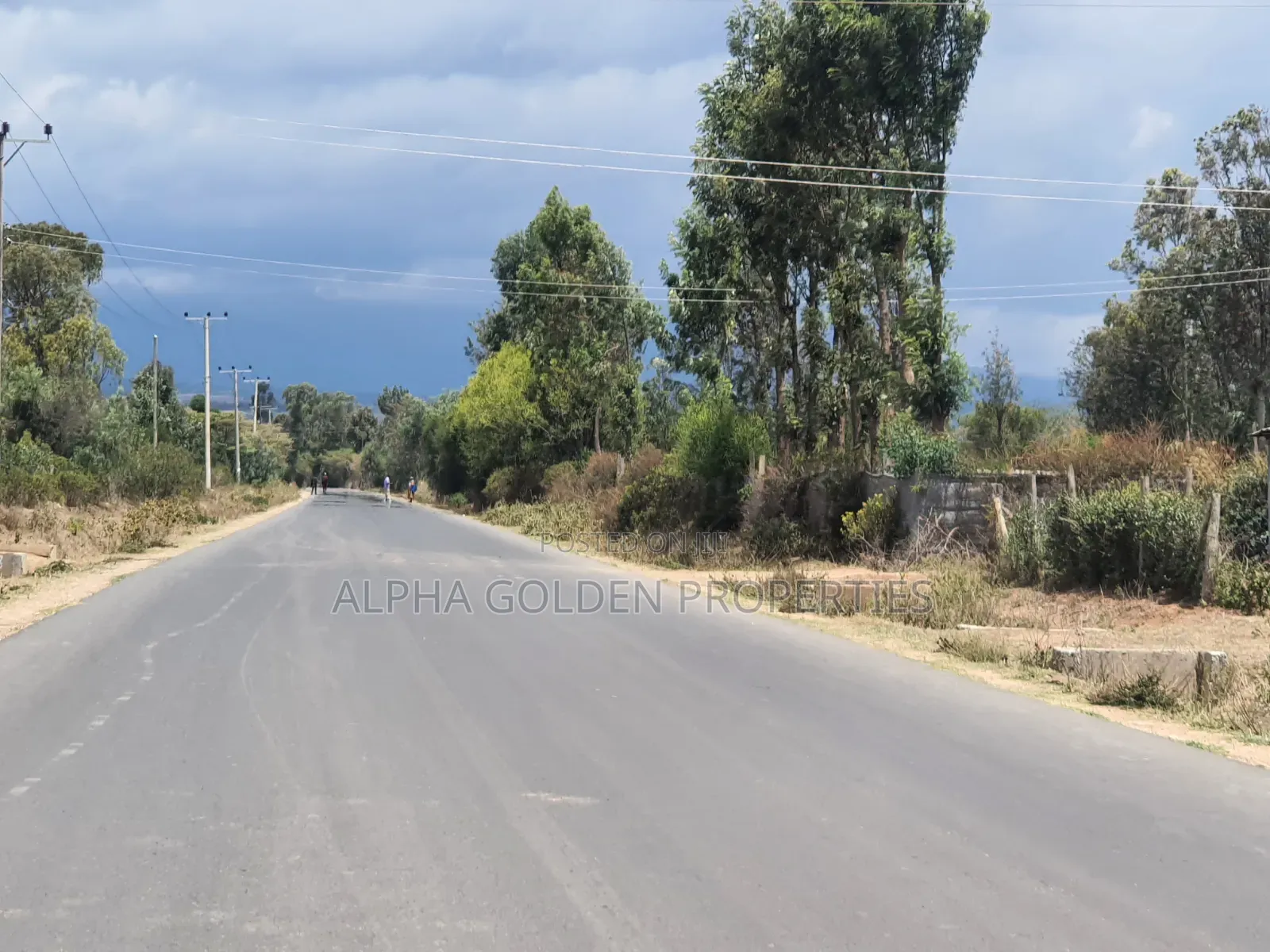 2 Acres in Barguret [ Airstrip Area ] Nanyuki in Nanyuki