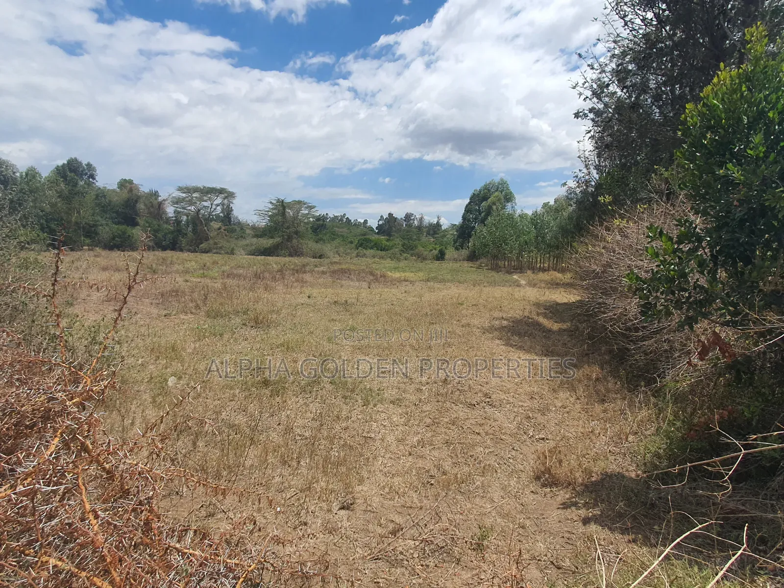 2 Acres in Barguret [ Airstrip Area ] Nanyuki in Nanyuki
