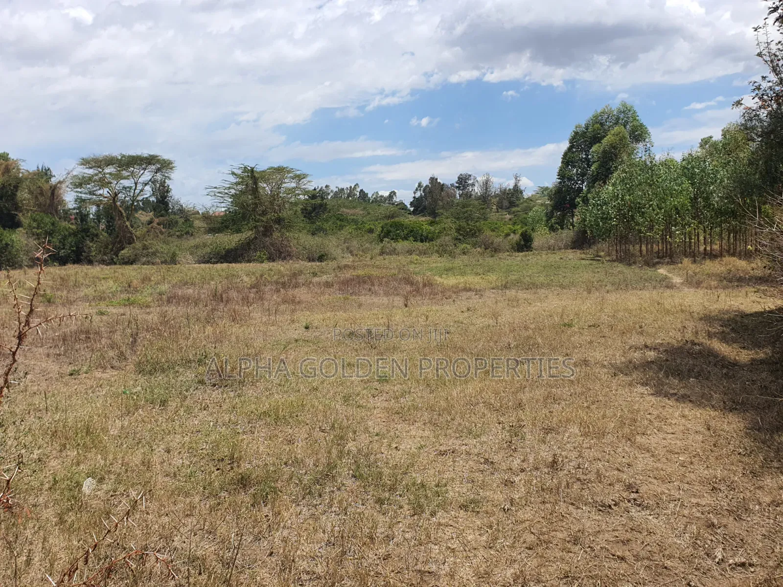 2 Acres in Barguret [ Airstrip Area ] Nanyuki in Nanyuki