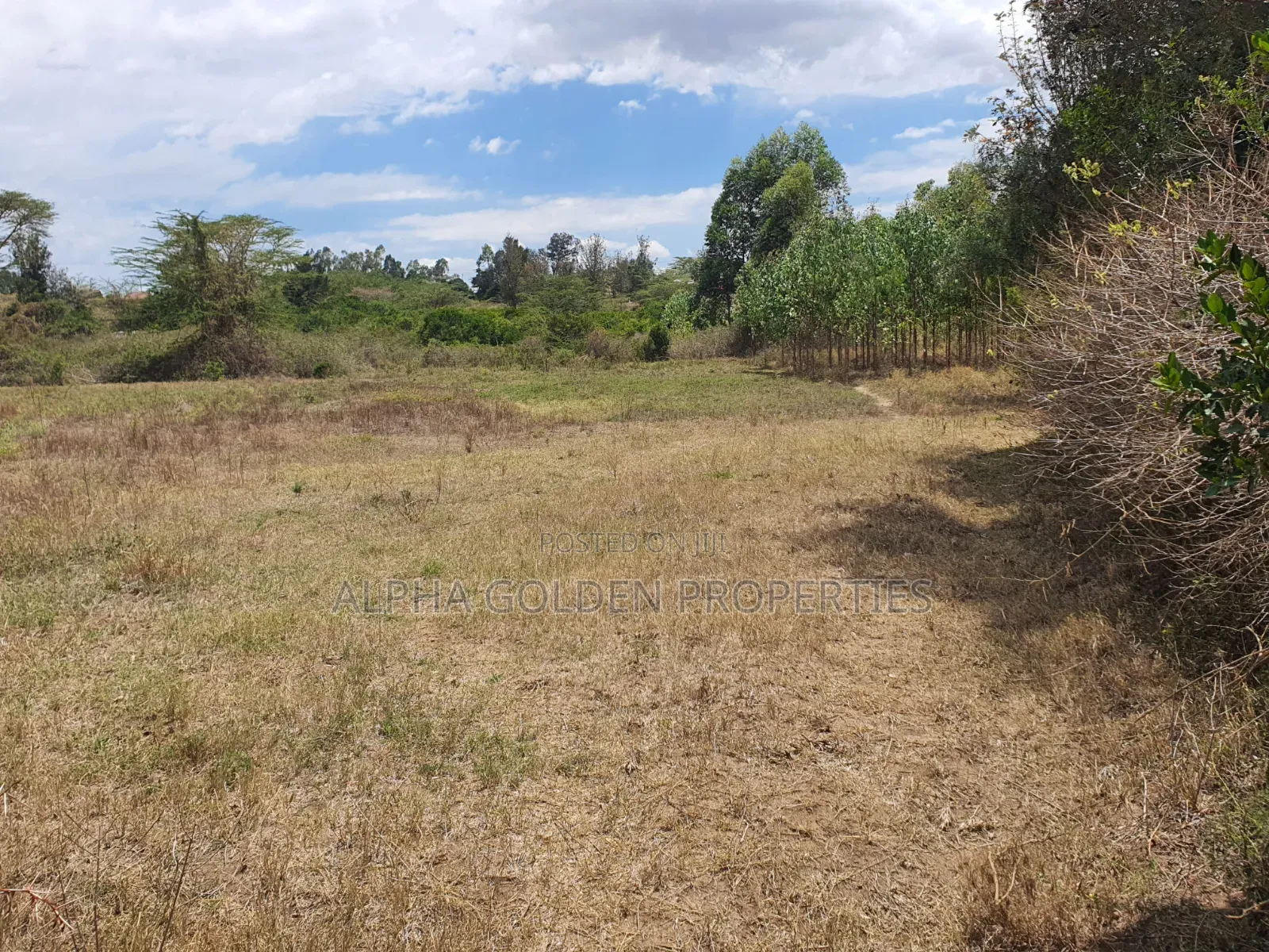 2 Acres in Barguret [ Airstrip Area ] Nanyuki in Nanyuki