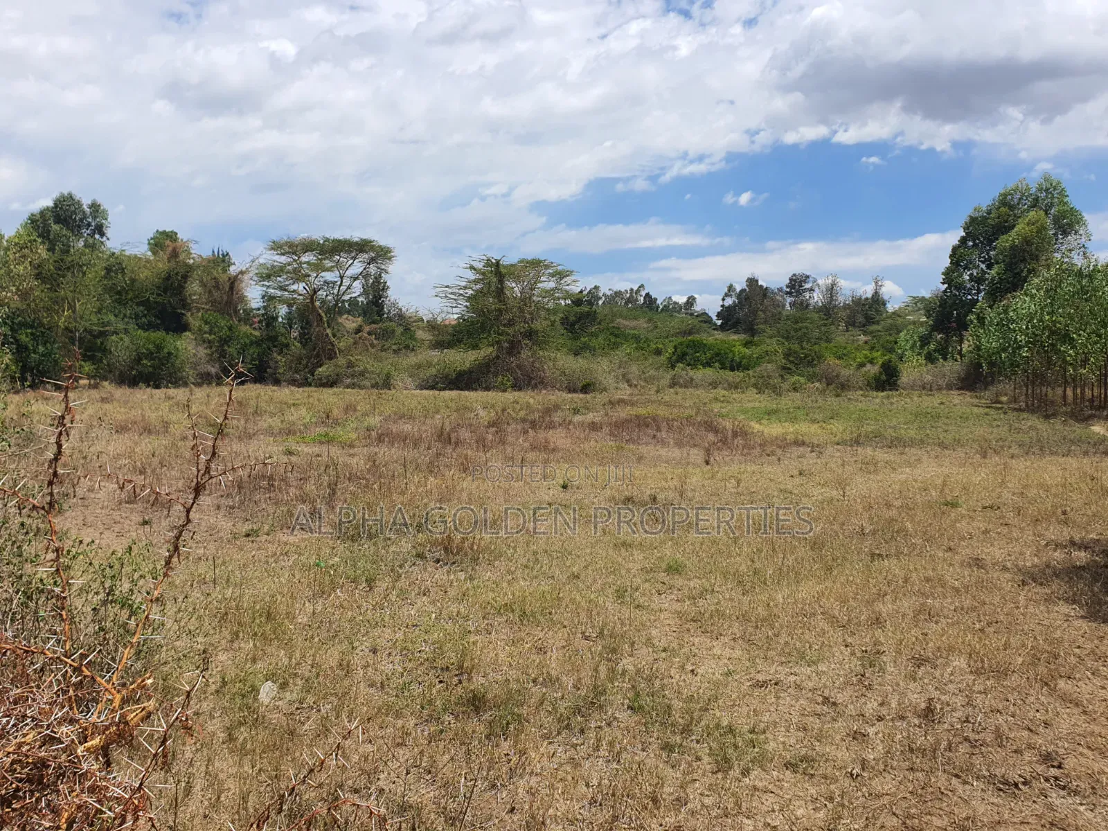 2 Acres in Barguret [ Airstrip Area ] Nanyuki in Nanyuki