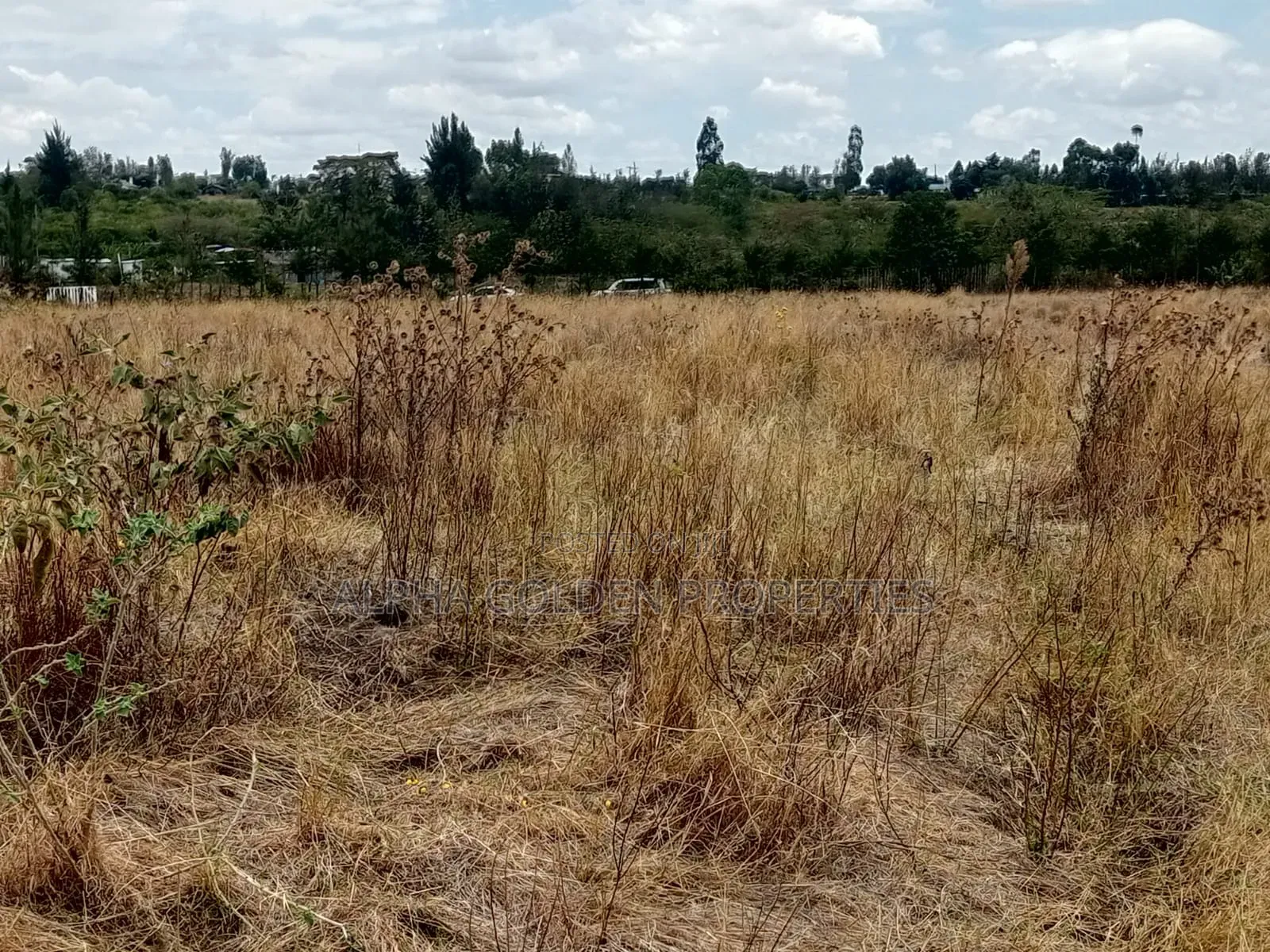 3 Acres for Sale Near Nanyuki Airfield in Gakawa