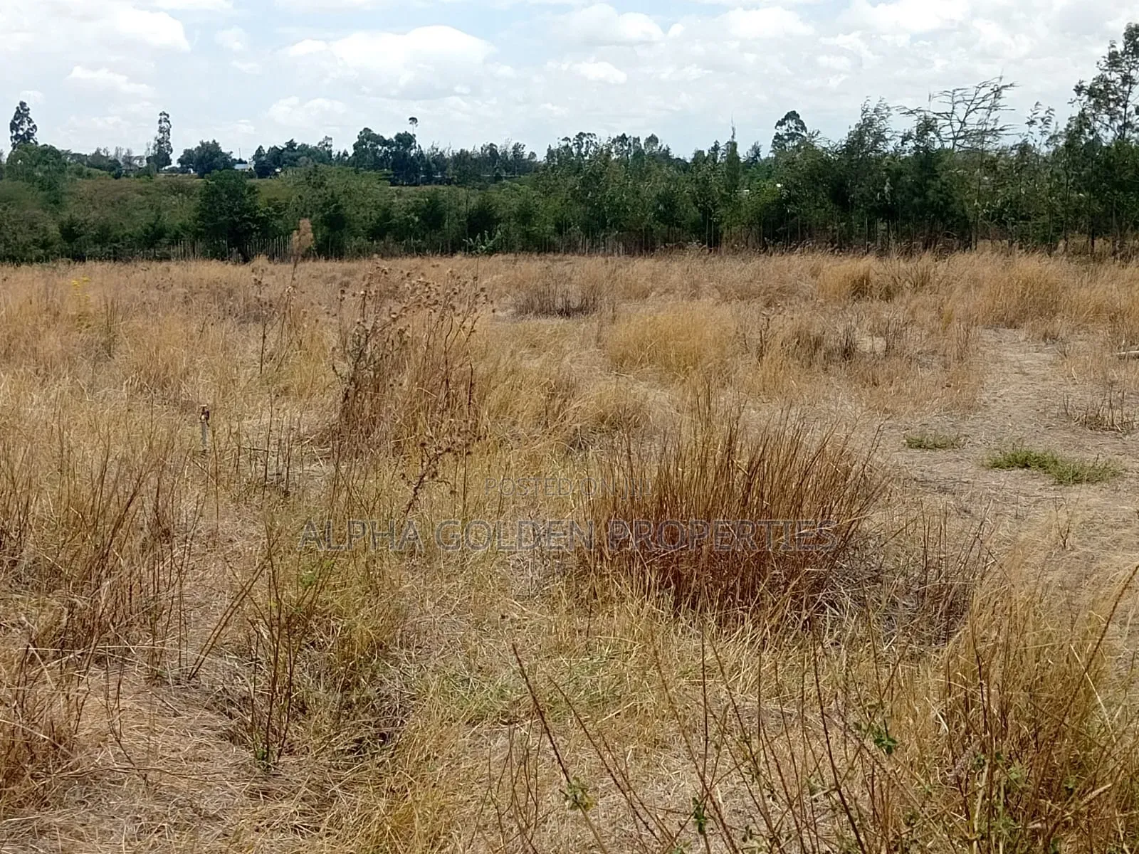 3 Acres for Sale Near Nanyuki Airfield in Gakawa