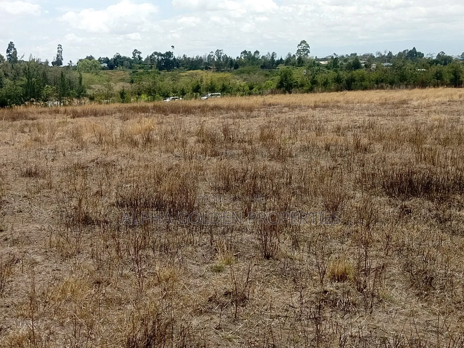 3 Acres for Sale Near Nanyuki Airfield in Gakawa