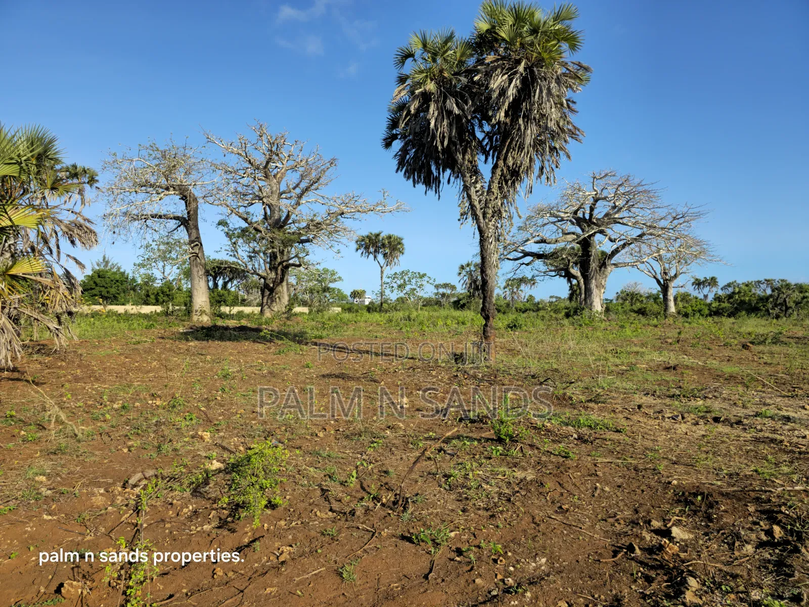 Prime Quarter Acre Plots Up for Sale in Galu Near Almanara Cottages in Diani