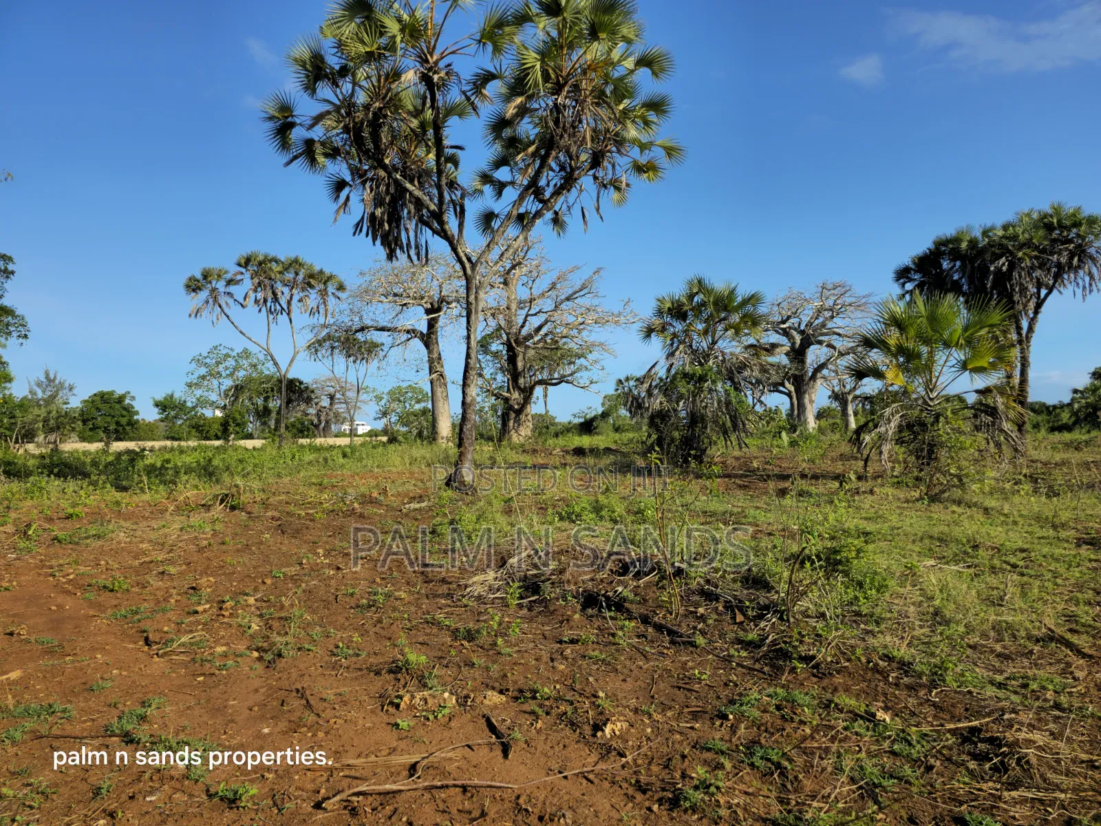 Prime Quarter Acre Plots Up for Sale in Galu Near Almanara Cottages in Diani