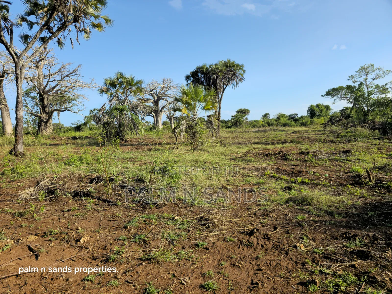Prime Quarter Acre Plots Up for Sale in Galu Near Almanara Cottages in Diani