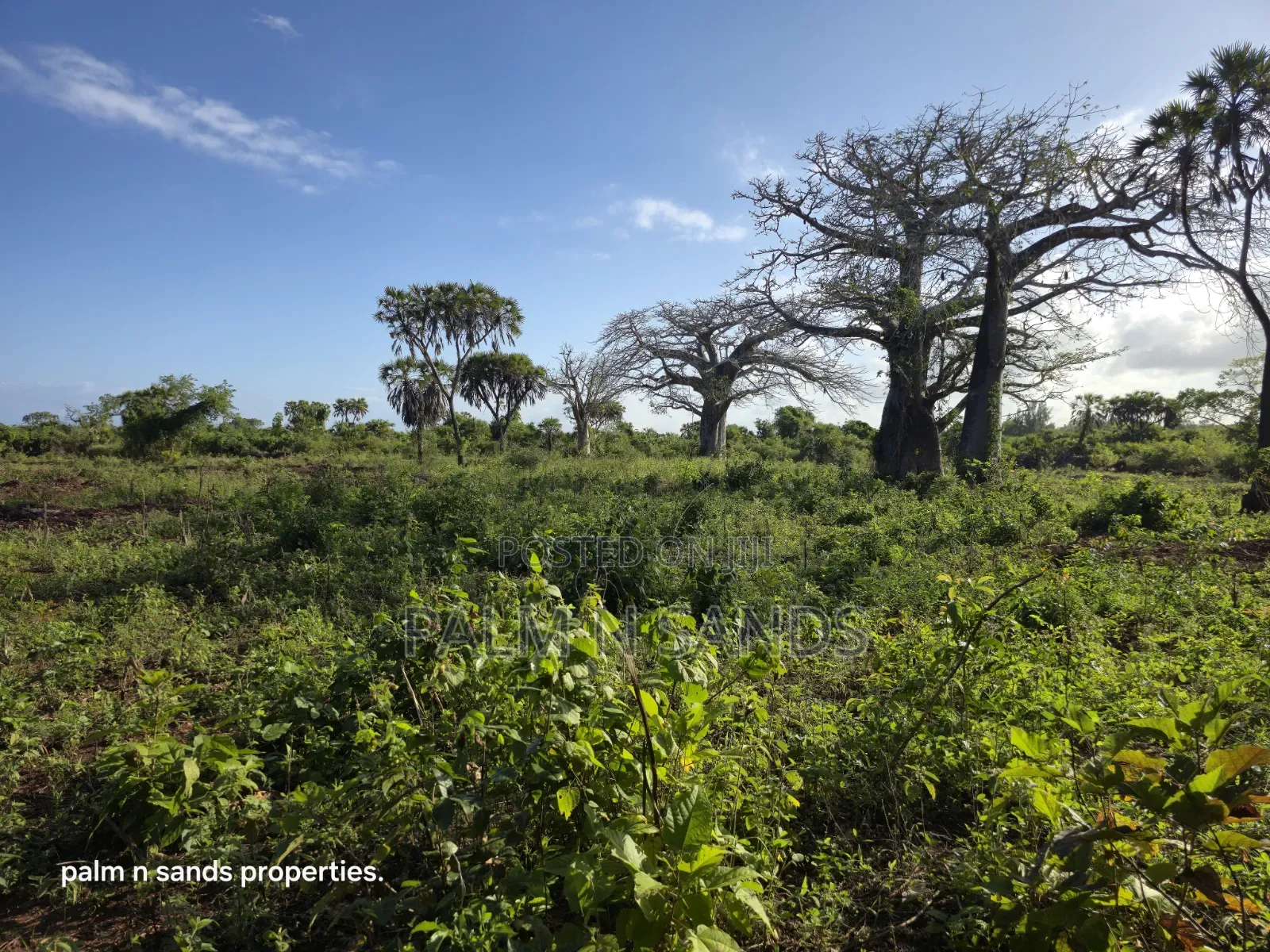 Prime Quarter Acre Plots Up for Sale in Galu Near Almanara Cottages in Diani