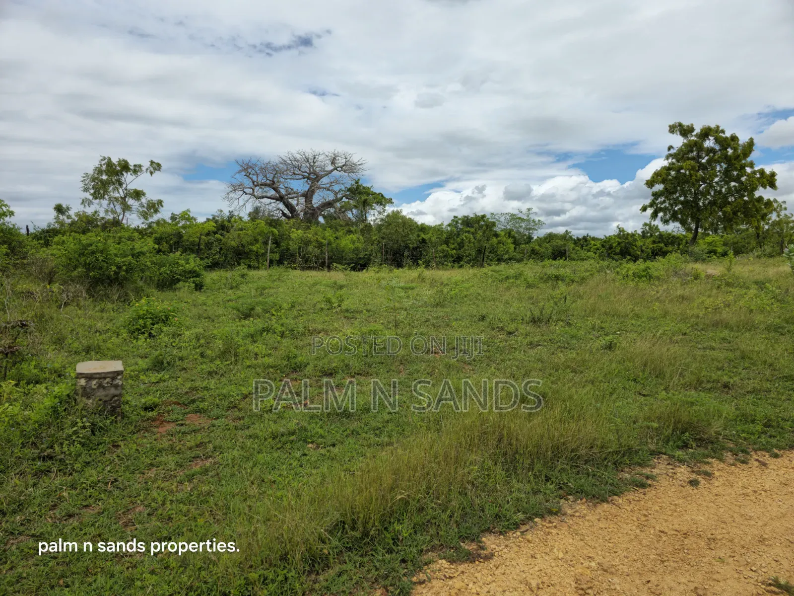 Prime Plot Available for Sale in Galu Near Amani Luxury Villas in Diani