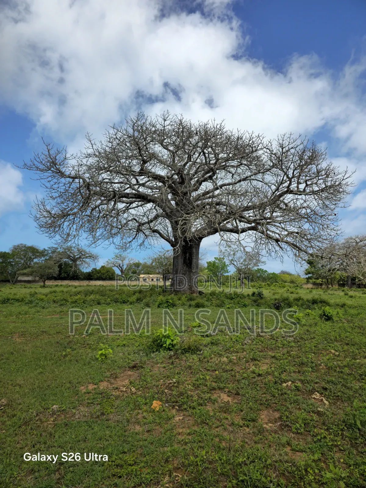 Diani Quarter Acre Plots Near Ukunda Airport in Diani