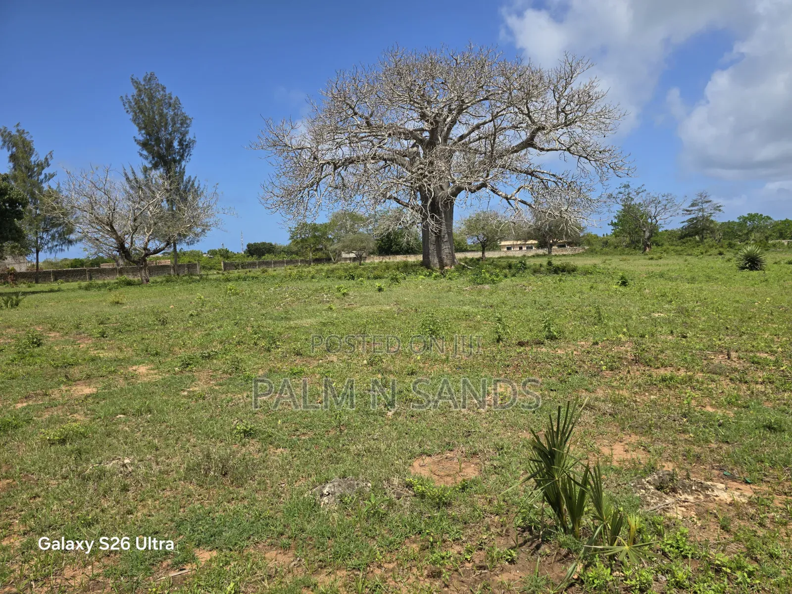 Diani Quarter Acre Plots Near Ukunda Airport in Diani