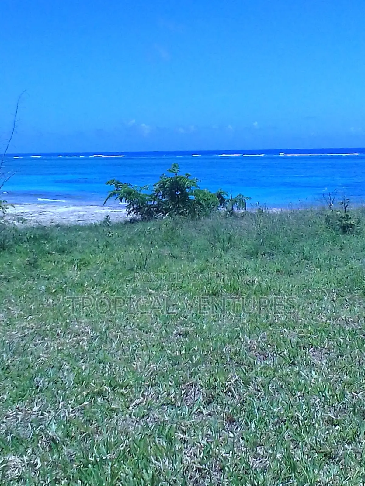 Beach Plot for Sale in Diani